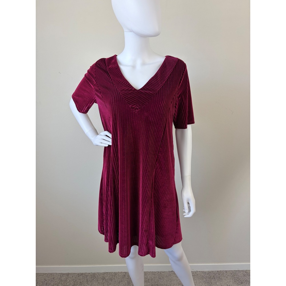 Entro Burgundy Pleated Velvet V-Neck Mini Dress Short Sleeve Wine Red Large